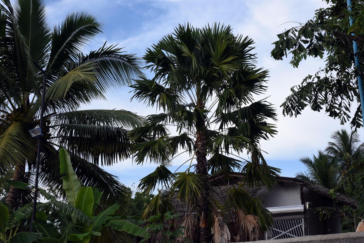 Sun And Green Eco Lodge - ดัมบูลลา ภายนอก รูปภาพ