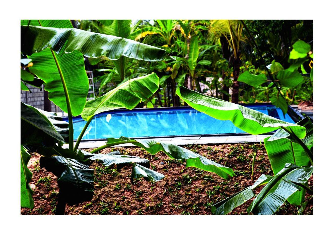 Sun And Green Eco Lodge - ดัมบูลลา ภายนอก รูปภาพ